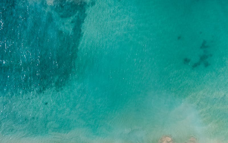 North Florida landscape